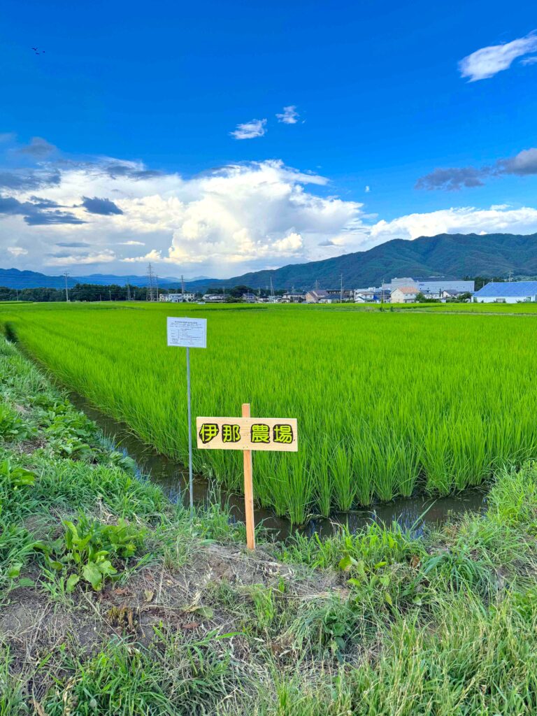 つなぐ食堂の屋外に作られた「伊那農場」